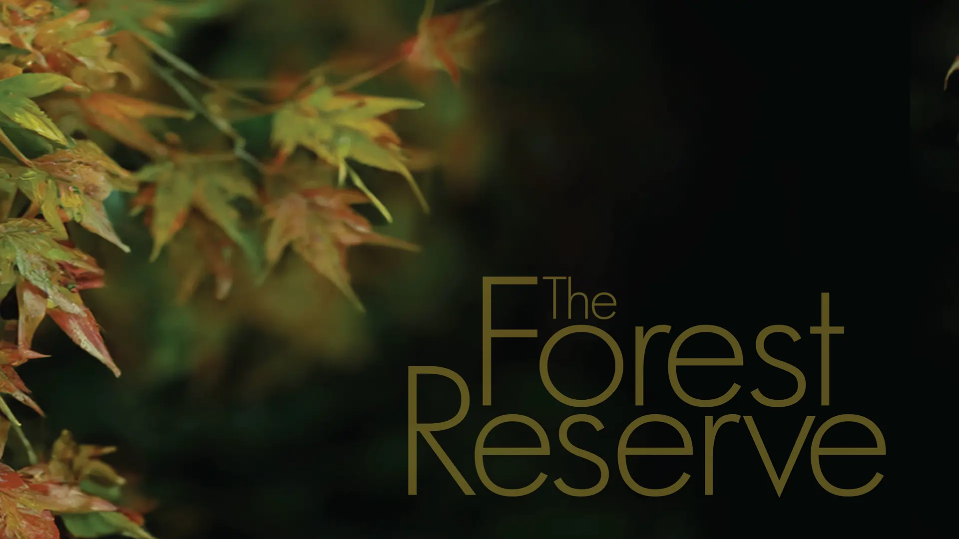 Krisumi Waterside Residences The Forest Reserve Project Features Background
